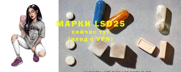mix Бородино