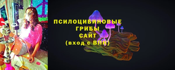 гидропоника Богородицк