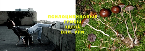 гидропоника Богородицк