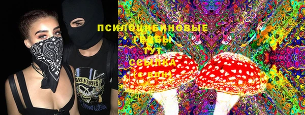 мдпв Бронницы
